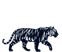Logo DHISA Saneamento Ambiental