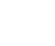 Logo DHISA